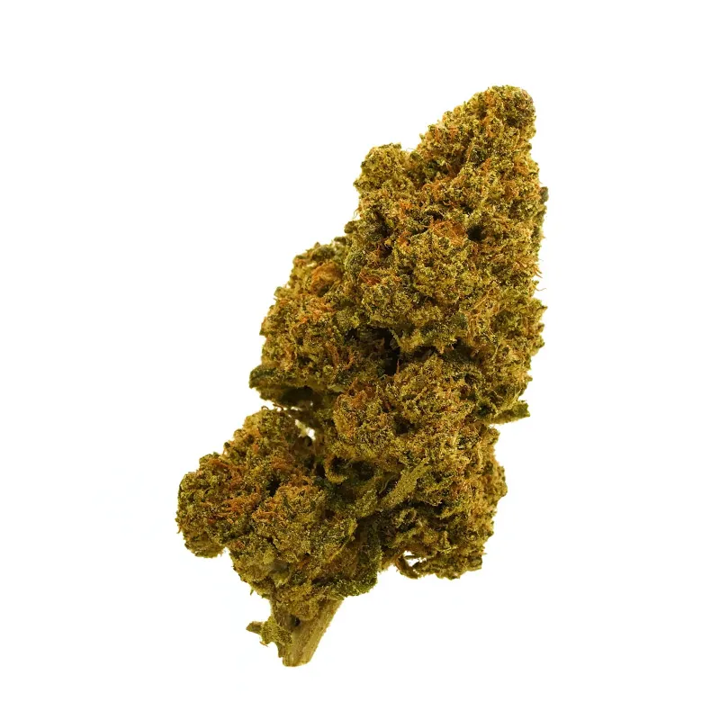 [2366-5254] Fleur Strawberry Banana
