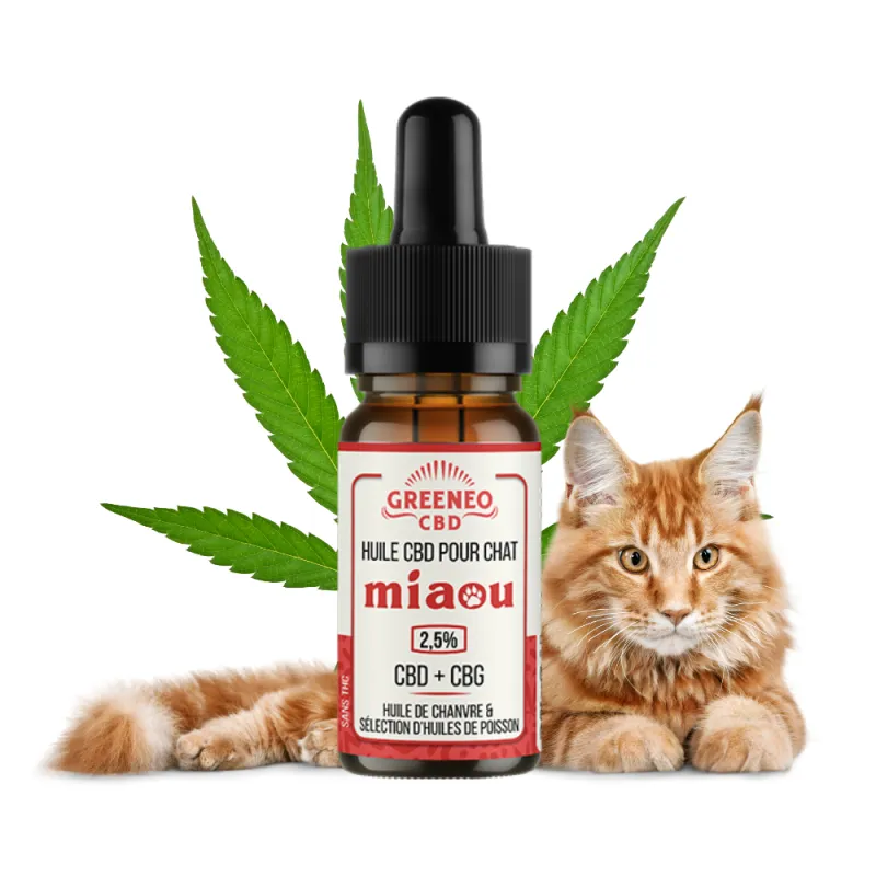 [2419-5354] HUILE CBD pour Chat - GREENEO