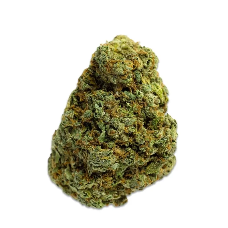 [2454-5438] Fleur Critical NcK30