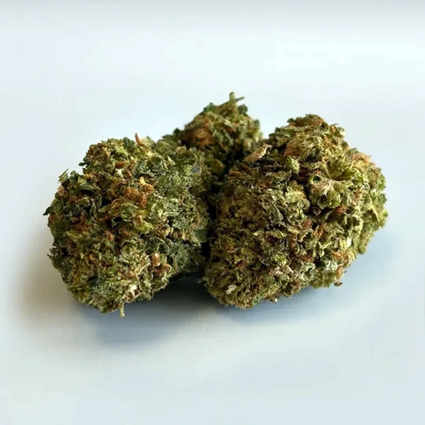 [2576-5625] Fleur Blueberry NcK50