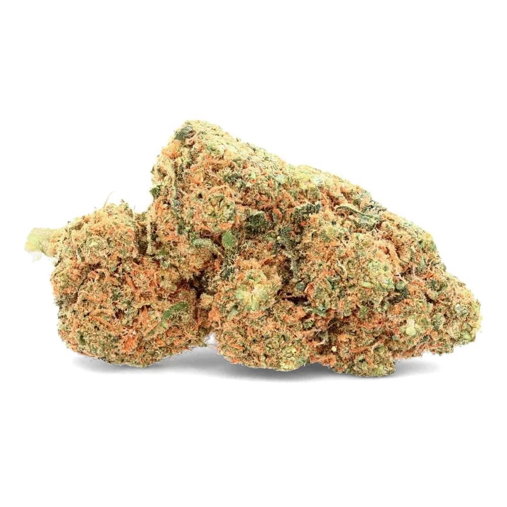 [2587-5636] Fleur Mango NcK80